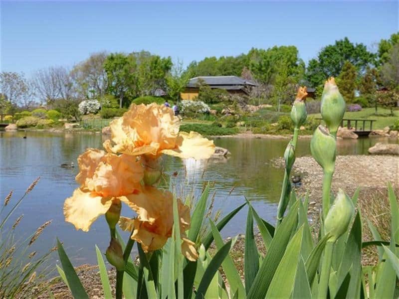 Dubbo Regional Botanic Garden